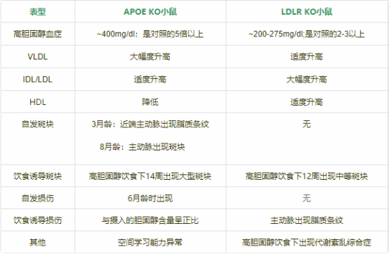 ApoE KO自發(fā)動脈粥樣硬化硬化小鼠模型(圖1)